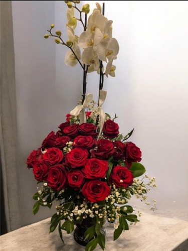 Kırmızı Gül ve Beyaz Orkide Arajmanı